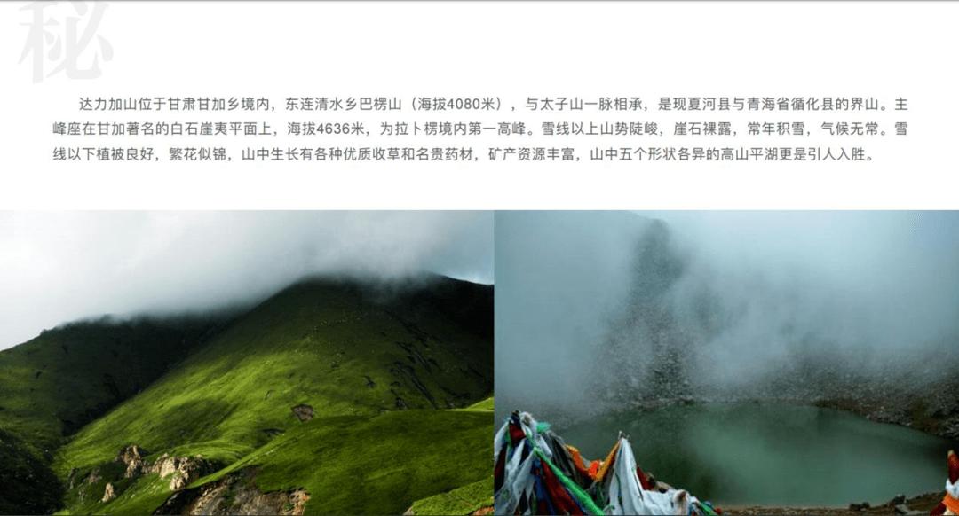 优雅的精灵