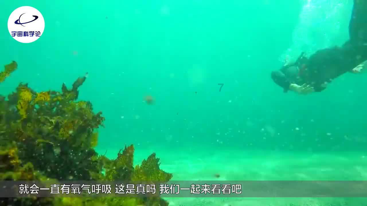 李雪健演完宋江拿到片酬准备回家,接到妻子电话:千万别回来