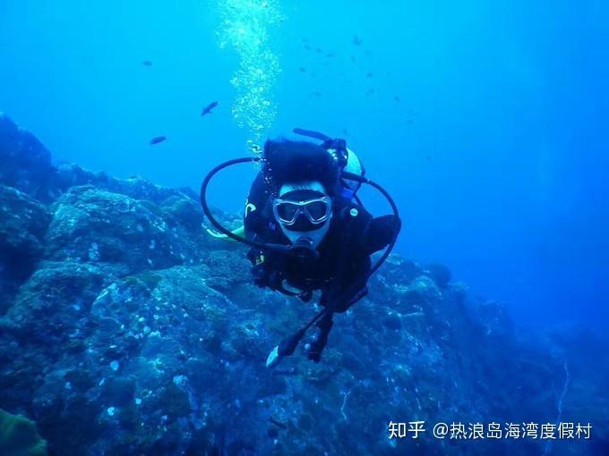 猪场怼怼乐