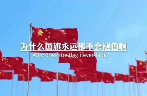 一边上厕所一边玩手机,真的会带来很多危害!你中招了吗?
