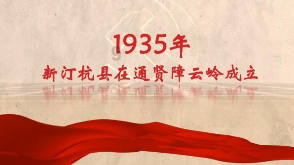 解救金刚鹦鹉