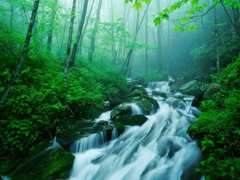 熊出没水果大陆2